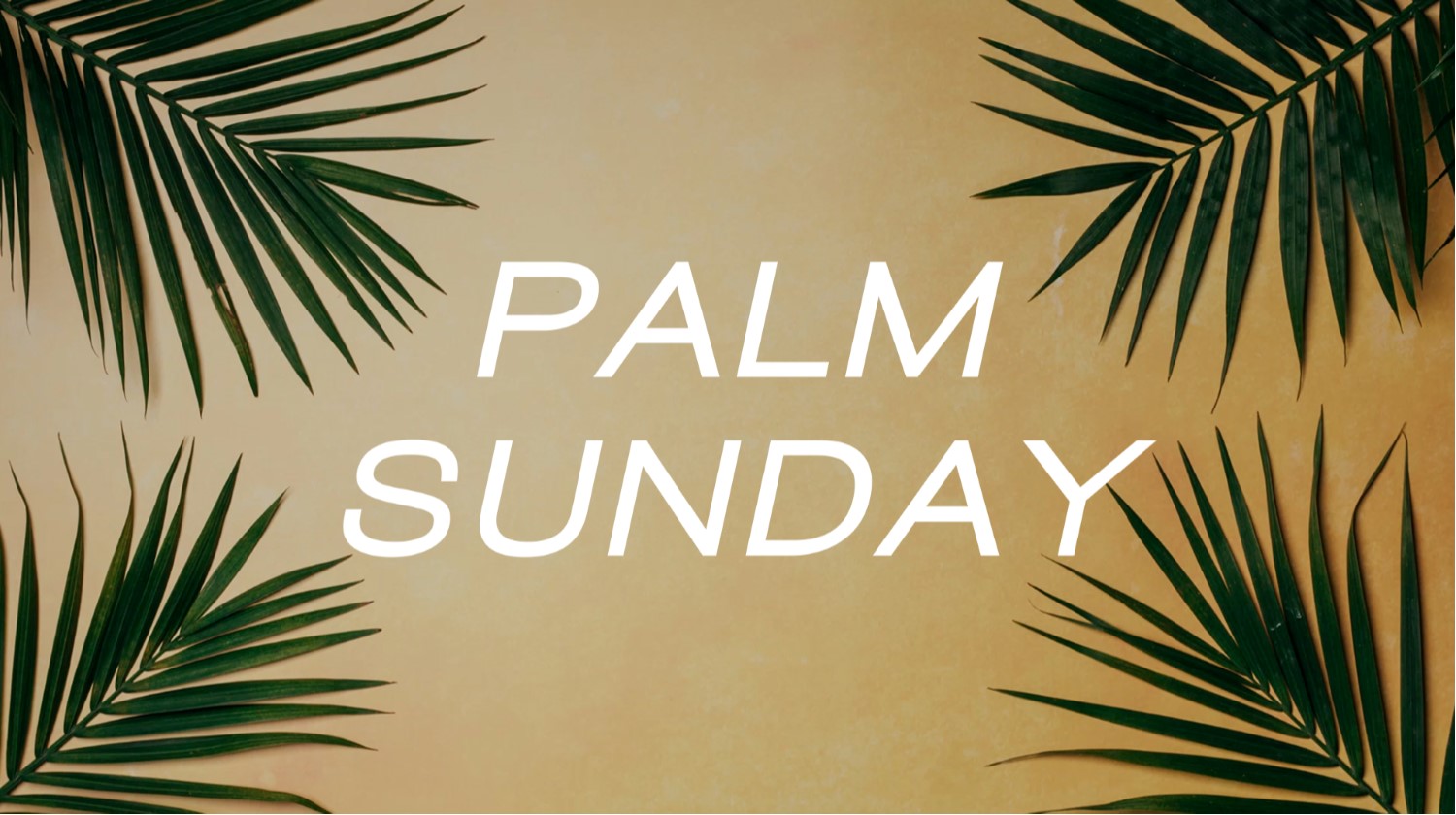 Palm Sunday Adult Devotional 4/1/2020